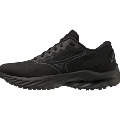 Mizuno WAVE INSPIRE 19 SSW D WIDE WOMEN*Women Running|Wide Shoes
